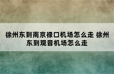 徐州东到南京禄口机场怎么走 徐州东到观音机场怎么走